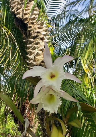 387 VICEROY TERRACE, Port Charlotte, FL 33954