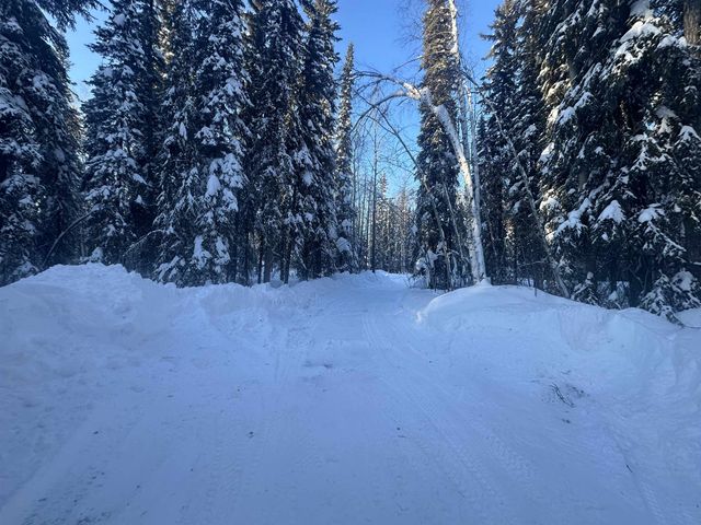 3451 DUNCAN ROAD, North Pole, AK 99705