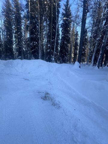 3451 DUNCAN ROAD, North Pole, AK 99705