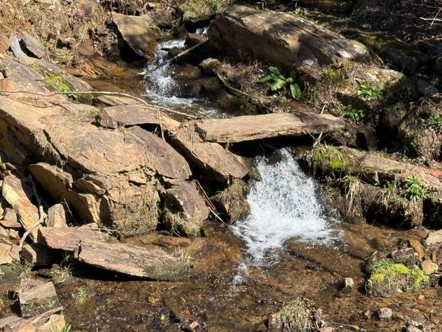 Lot 8 Wild Laurel, Brasstown, NC 28902