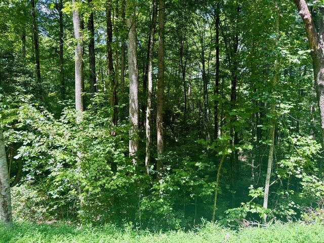 Lot 8 Wild Laurel, Brasstown, NC 28902