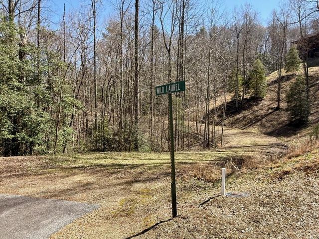 Lot 8 Wild Laurel, Brasstown, NC 28902