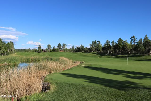 3990 SUGAR PINE Loop, Show Low, AZ 85901