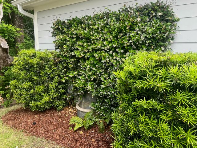 2008 Fleming Woods Road, Charleston, SC 29412