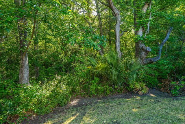 2008 Fleming Woods Road, Charleston, SC 29412