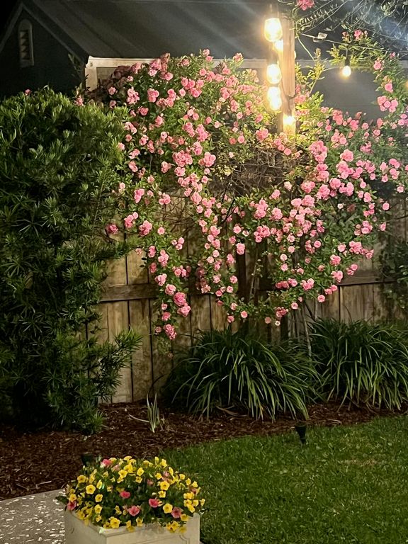 Image 54 of property listing at 2008 Fleming Woods Road, Charleston, SC 29412