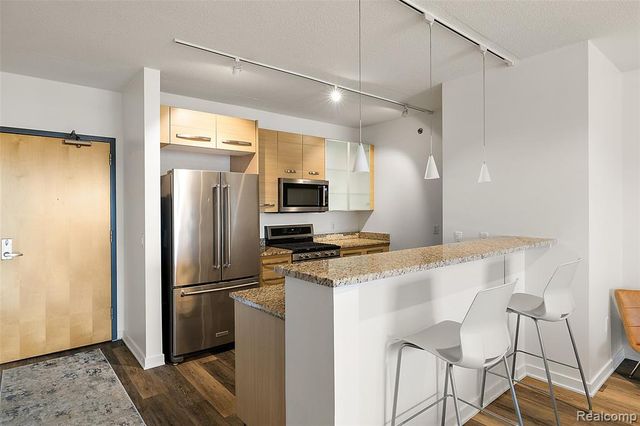 432 S Washington Avenue 806, Royal Oak, MI 48067