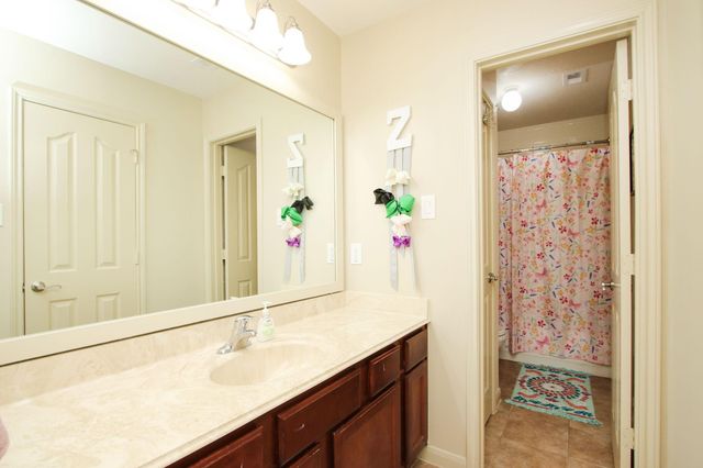 12210 Hallowed Oaks, Magnolia, TX 77354