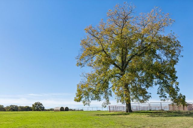 2212 Spring Hill Road, Aubrey, TX 76227
