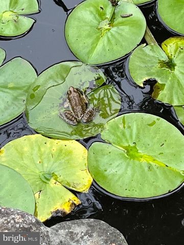 412 RICES MILL RD, Wyncote, PA 19095