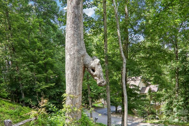 24 Caroline Lane, Pisgah Forest, NC 28768