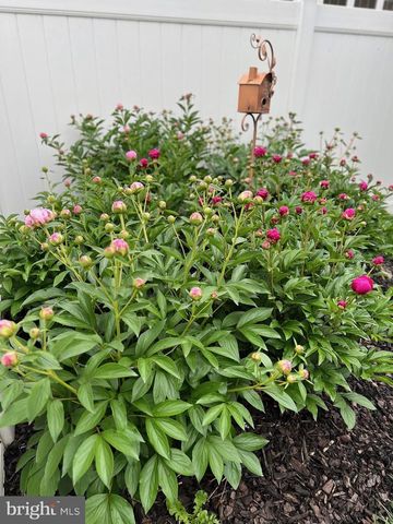 124 NATHAN DR, Stephens City, VA 22655