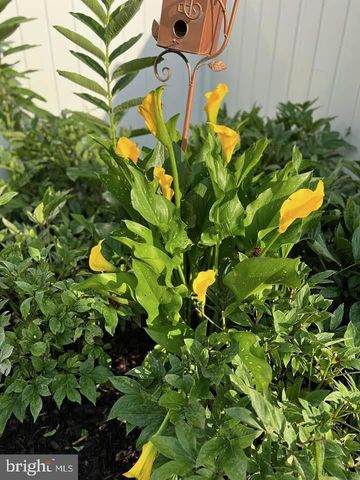 124 NATHAN DR, Stephens City, VA 22655