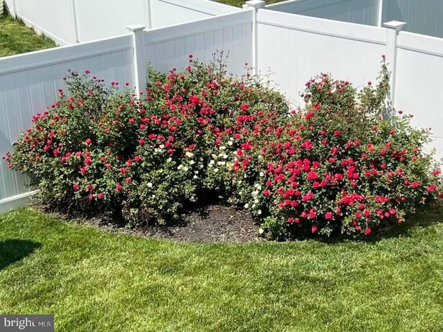 124 NATHAN DR, Stephens City, VA 22655