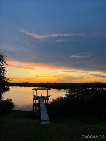 540 N Lake Circle, Crystal River, FL 34429