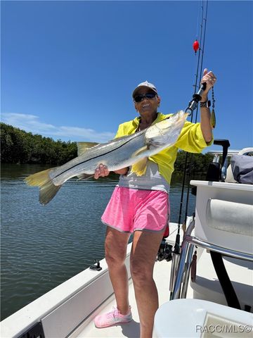 540 N Lake Circle, Crystal River, FL 34429