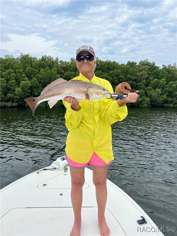 540 N Lake Circle, Crystal River, FL 34429