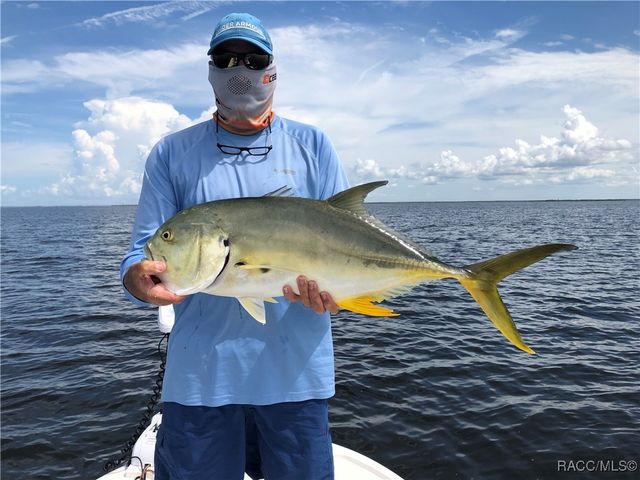 540 N Lake Circle, Crystal River, FL 34429