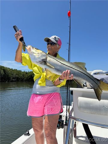 540 N Lake Circle, Crystal River, FL 34429