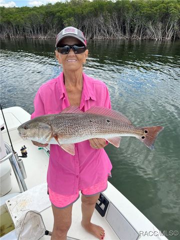 540 N Lake Circle, Crystal River, FL 34429