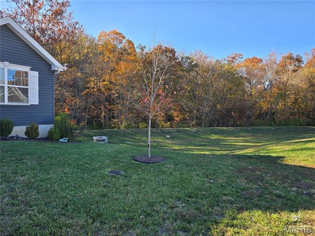 5910 Creek Side Place, Cedar Hill, MO 63016