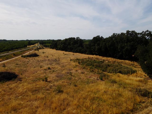 11446 Highway 70, Marysville, CA 95901