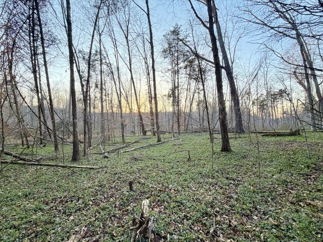 1 Highland Rd, Westmoreland, TN 37186