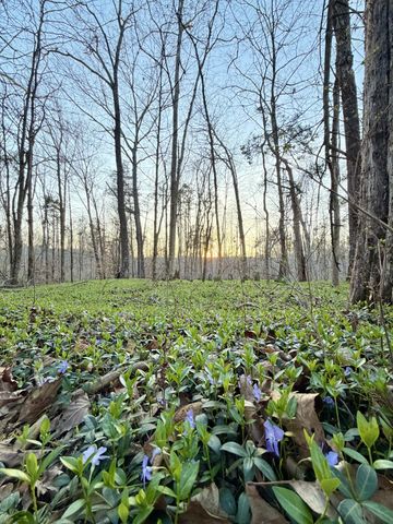 1 Highland Rd, Westmoreland, TN 37186