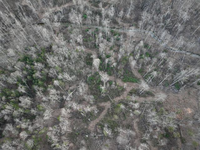 1 Highland Rd, Westmoreland, TN 37186