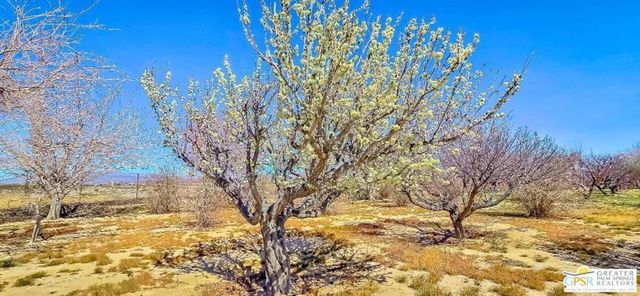11446 Midway Avenue, Lucerne Valley, CA 92356