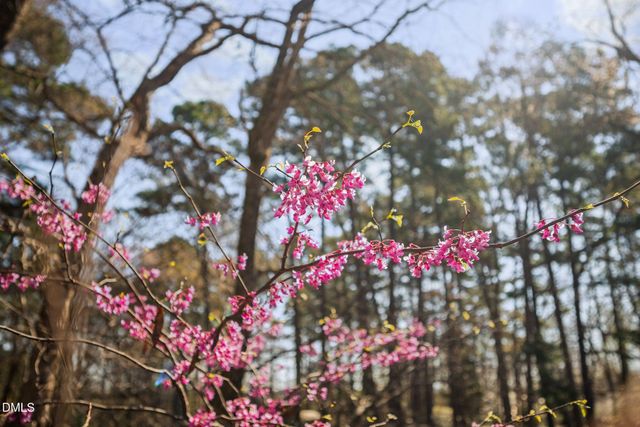 127 Glendale Drive, Chapel Hill, NC 27514