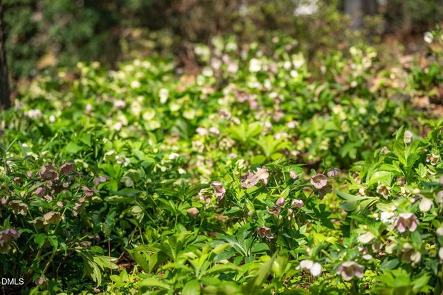 127 Glendale Drive, Chapel Hill, NC 27514