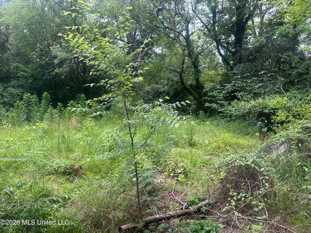 3025 Meadow Forest Drive, Jackson, MS 39212