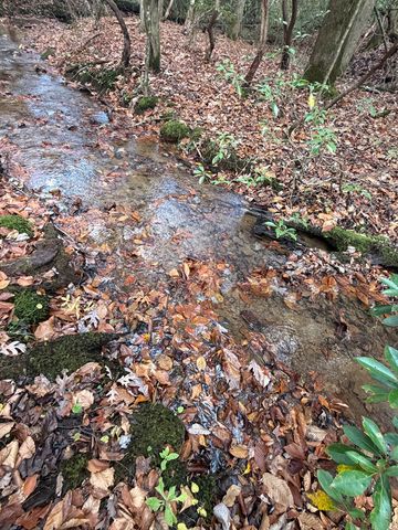 Lot A Magnums Trail, Blue Ridge, GA 30513