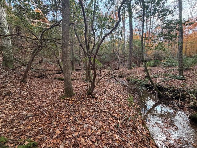 Lot A Magnums Trail, Blue Ridge, GA 30513