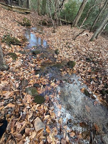 Lot A Magnums Trail, Blue Ridge, GA 30513