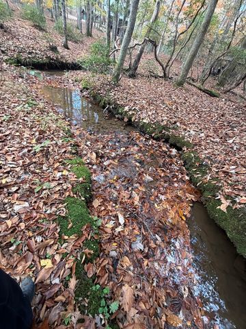 Lot A Magnums Trail, Blue Ridge, GA 30513