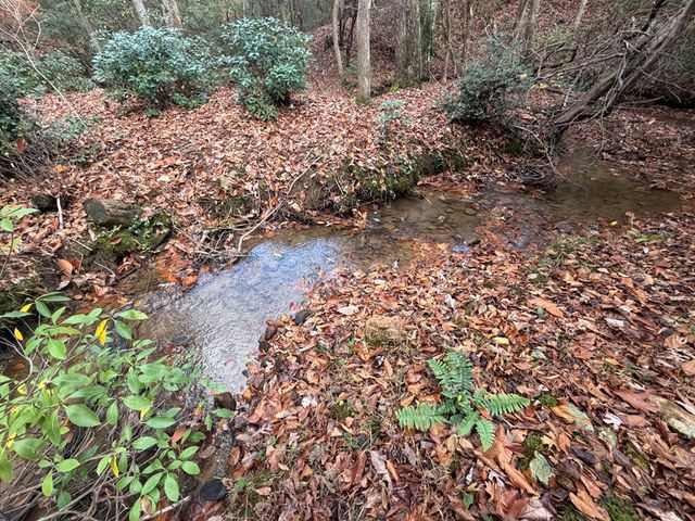 Lot A Magnums Trail, Blue Ridge, GA 30513