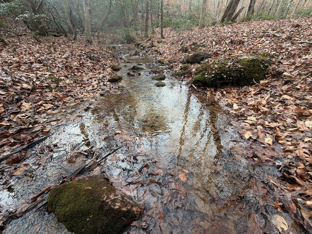Lot A Magnums Trail, Blue Ridge, GA 30513