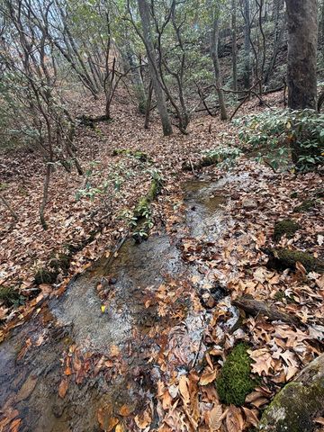 Lot A Magnums Trail, Blue Ridge, GA 30513