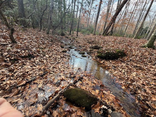 Lot A Magnums Trail, Blue Ridge, GA 30513