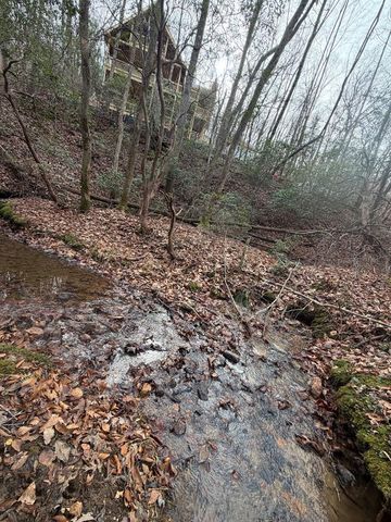 Lot A Magnums Trail, Blue Ridge, GA 30513