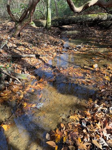 Lot A Magnums Trail, Blue Ridge, GA 30513