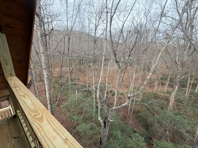 Lot A Magnums Trail, Blue Ridge, GA 30513