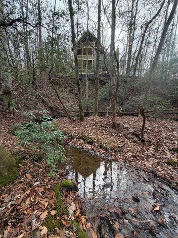 Lot A Magnums Trail, Blue Ridge, GA 30513