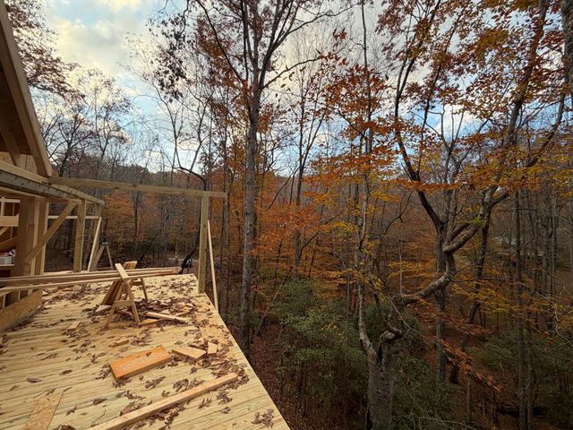 Lot A Magnums Trail, Blue Ridge, GA 30513