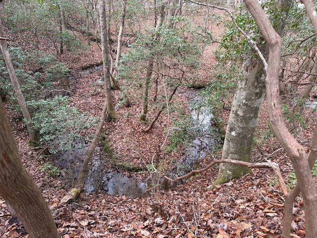 Lot A Magnums Trail, Blue Ridge, GA 30513
