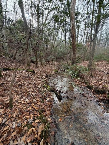Lot A Magnums Trail, Blue Ridge, GA 30513