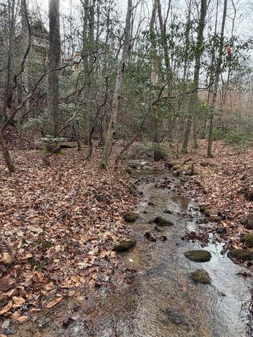 Lot A Magnums Trail, Blue Ridge, GA 30513