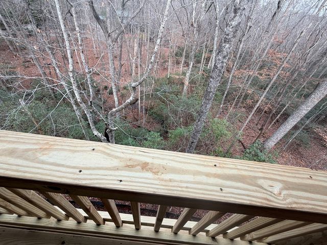 Lot A Magnums Trail, Blue Ridge, GA 30513